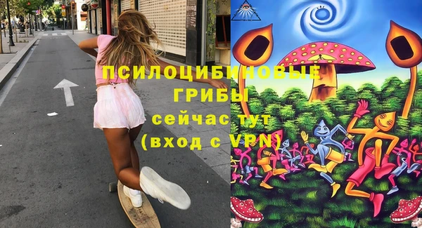 прущие крисы Абаза