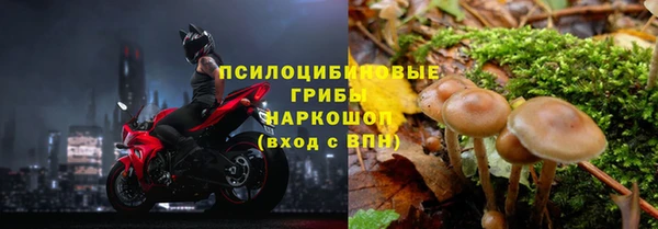 прущие крисы Абаза